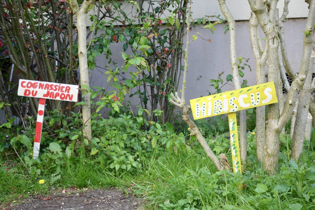 DSC04357