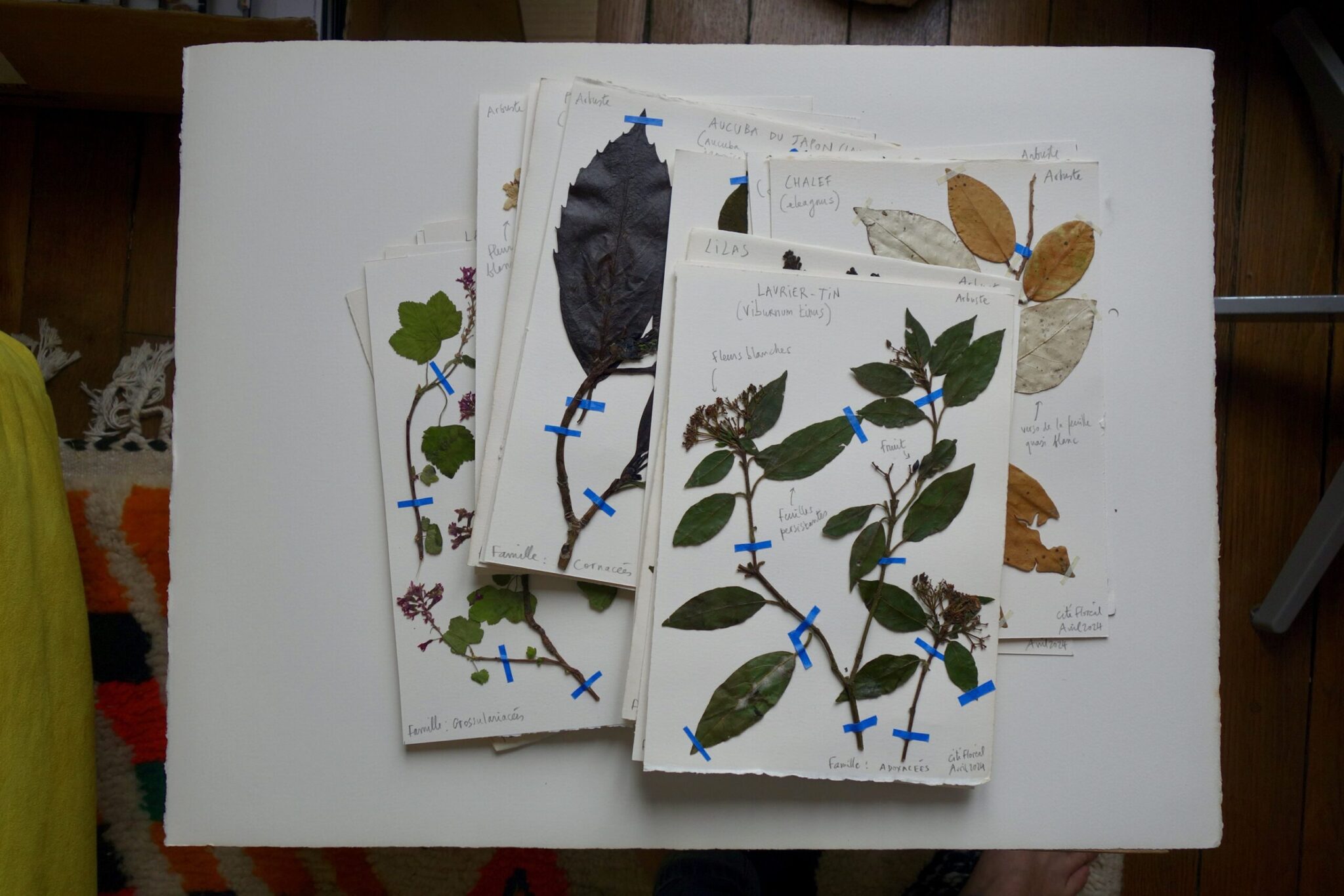 vue-densemble-planches-2-scaled.jpg